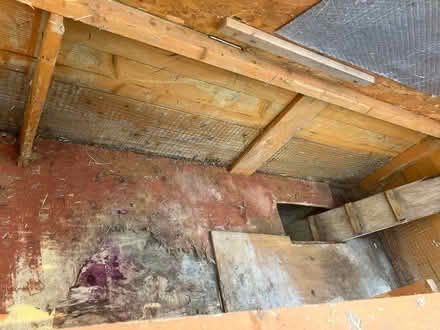 Photo of free Rabbit Hutch (Prittlewell SS2) #3