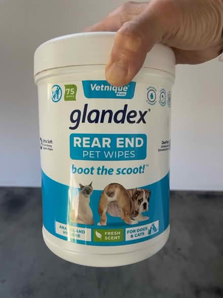 Photo of free Glandex Wipes (Berkeley) #1