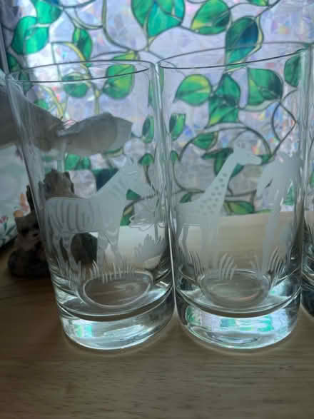 Photo of free 5 cup set of safari animals (Woburn) #2