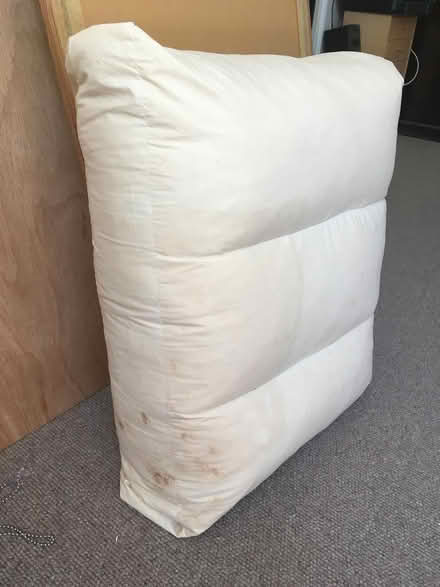 Photo of free Down & feathers for pillow/cushions (Central Crouch End N8) #2