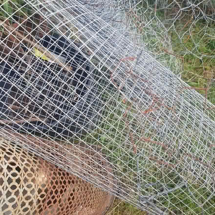 Photo of free Chicken Wire (Burbage SK17) #2