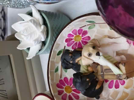 Photo of free Boot Sale Bits (Colchester CO4) #2