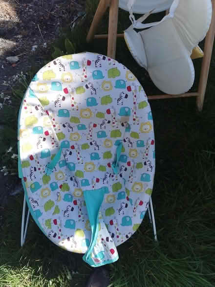 Photo of free Baby Bouncer (Parkstone BH14) #1