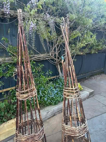 Photo of free Wigwam style support for plants (Comberton DY10) #2