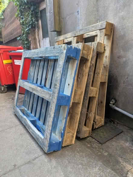 Photo of free 7 pallets (Brighton, BN2) #3
