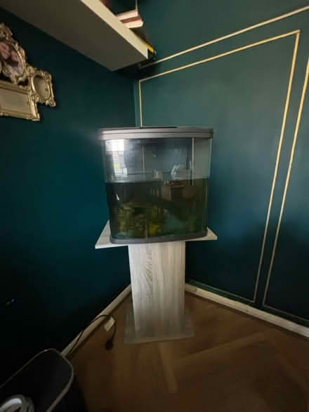Photo of free Fish Tank with all accessories (Camrose Avenue, HA8) #1