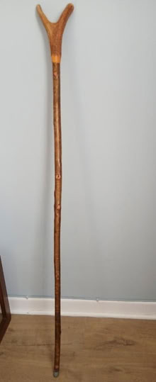 Photo of free Walking stick (Amesbury SP4) #1