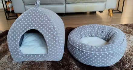 Photo of free Cat Igloo and Cat Bed (Felpham PO22) #1