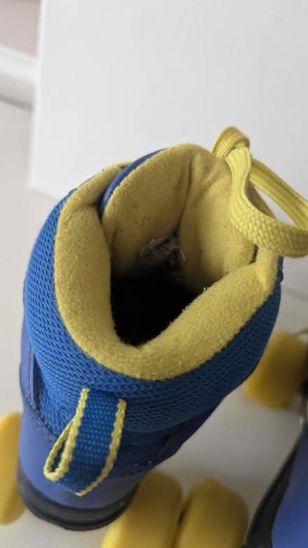 Photo of free Original Rio rollerskates (W4) #3