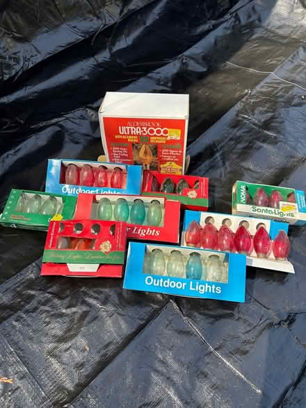 Photo of free Outdoor Large Christmas Light Bulb (Kanata) #1