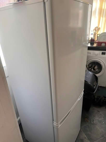 Photo of free Refrigerator (Bottle L202ET) #3