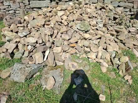 Photo of free Rockery or walling stone (Crawleyside, Stanhope) #3