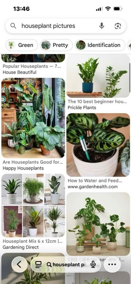Photo of Houseplants (Overton RG25) #1