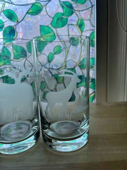 Photo of free 5 cup set of safari animals (Woburn) #4