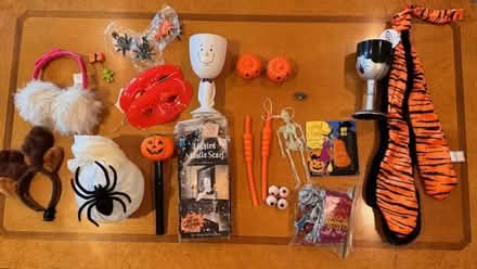 Photo of free Variety of Halloween items (Potomac, MD) #1