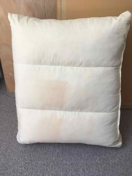 Photo of free Down & feathers for pillow/cushions (Central Crouch End N8) #1