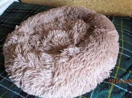 Photo of free Round “Donut” Pet Bed (Odd Down BA2) #1
