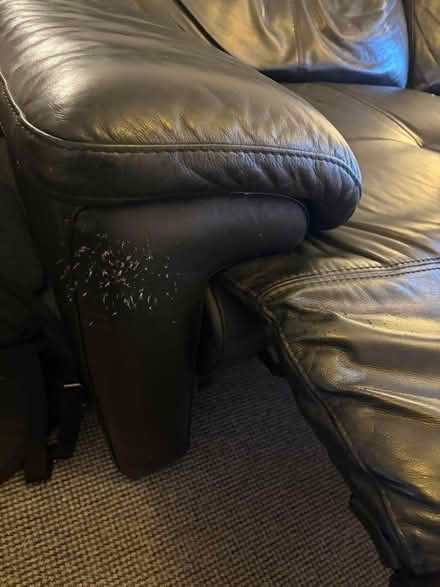 Photo of free Recliner Sofa (Peacehaven) #2