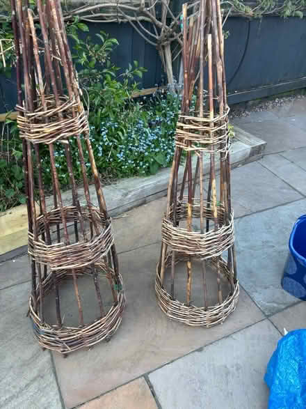 Photo of free Wigwam style support for plants (Comberton DY10) #1