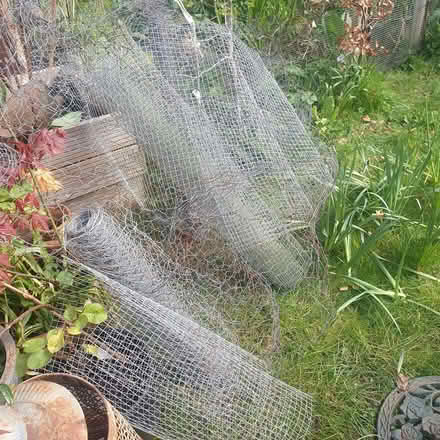 Photo of free Chicken Wire (Burbage SK17) #3