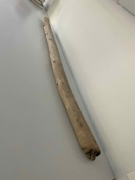 Photo of free Driftwood Stick Branch Bar (Berkeley) #1
