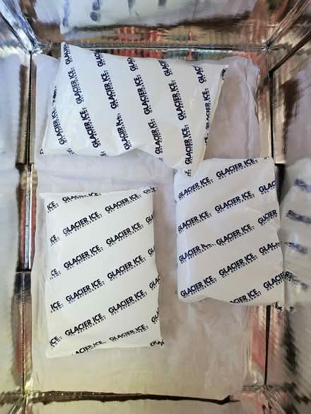 Photo of free Insulated boxes + cooling gels (Mountain View) #2