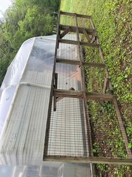 Photo of free Plant Tables (Mayfair Place, Crofton) #1