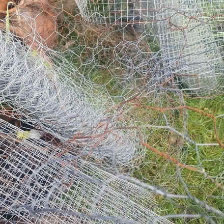 Photo of free Chicken Wire (Burbage SK17) #1