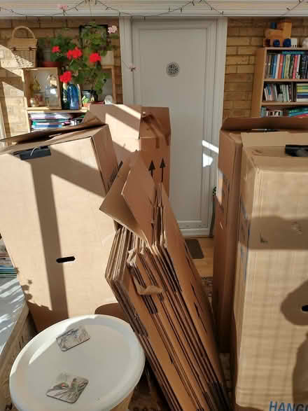 Photo of free Moving boxes (Didcot OX11) #1