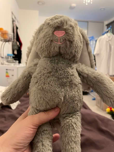 Photo of free Rabbit Teddy (Wandsworth SW18) #1