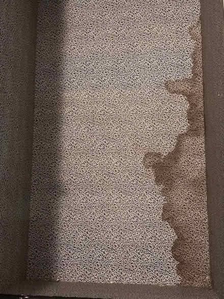 Photo of free camp trunk (Hastings on Hudson) #1