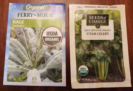 Photo of free kale and celery seeds (2025) (SE Washington DC) #1