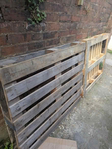 Photo of free 7 pallets (Brighton, BN2) #1