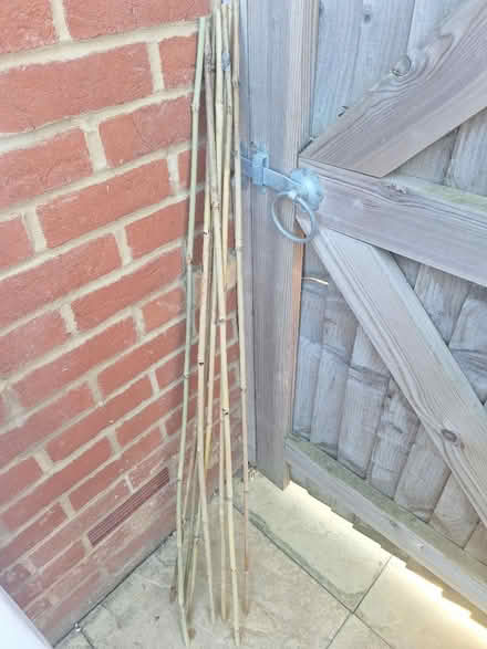 Photo of free 4ft garden canes (PO18 0GF Chichester) #1