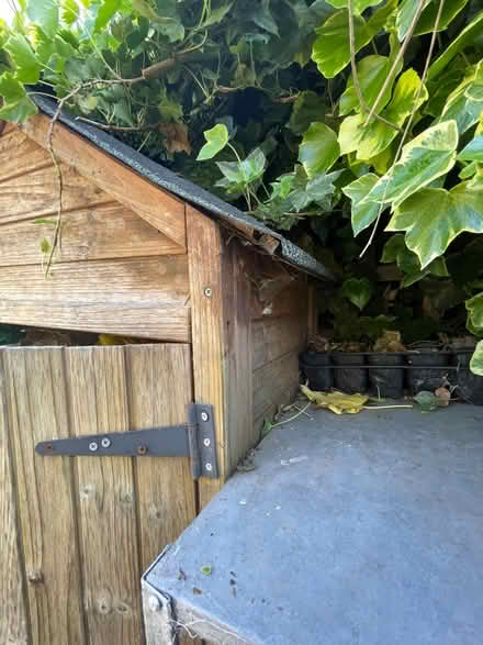 Photo of free Shed (Wood Street E17) #2
