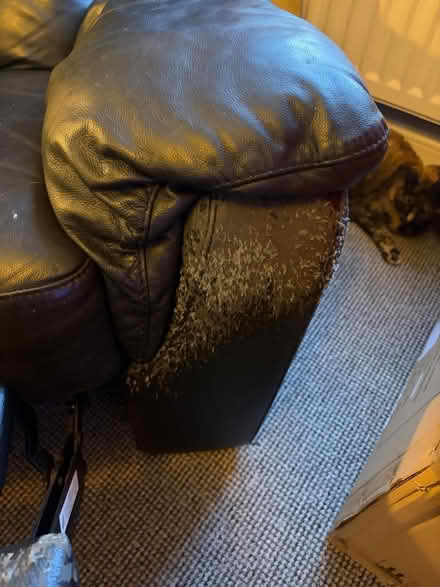 Photo of free Recliner Arm Chair (Peacehaven) #3