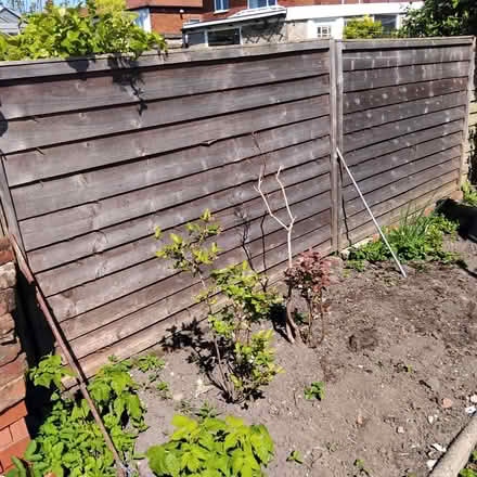 Photo of free 2 x 5' by 6' fence panels (Ingol PR2) #1