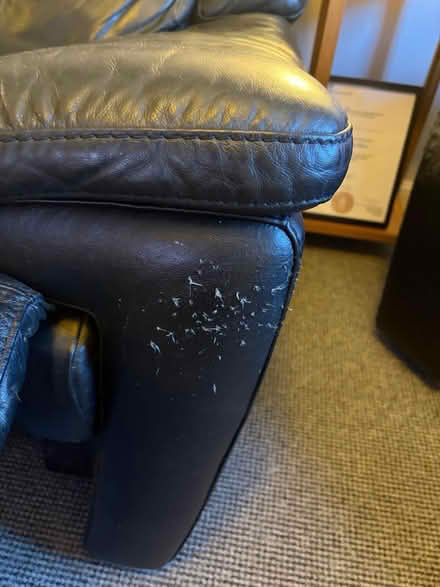 Photo of free Recliner Sofa (Peacehaven) #4