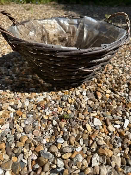 Photo of free Basket (CO4 9 Colchester) #1