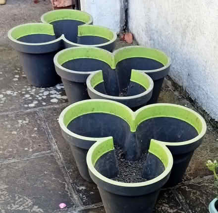 Photo of free Triple planters (Seaside BN22) #2