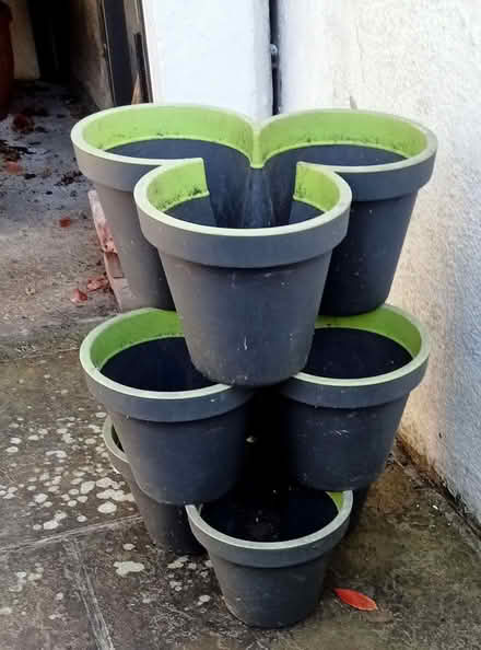 Photo of free Triple planters (Seaside BN22) #1