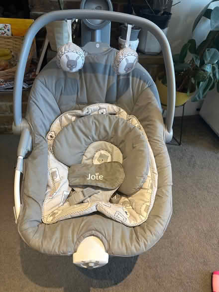 Photo of free Electric Baby Bouncer (Croydon CR2) #1