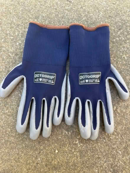 Photo of free Gardening bits & Basket/planter (CO4 9 Colchester) #2