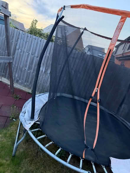 Photo of free 8ft trampoline (Wantage) #4