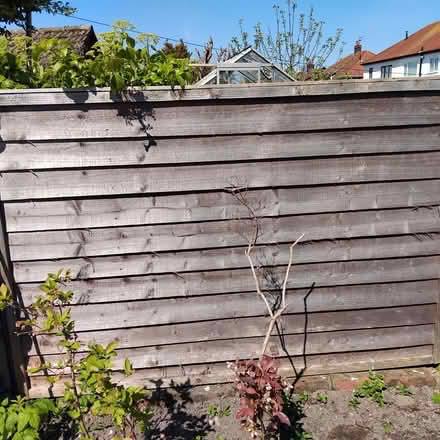 Photo of free 2 x 5' by 6' fence panels (Ingol PR2) #2