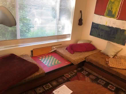 Photo of free sectional couch and pillows (Sebastopol) #2