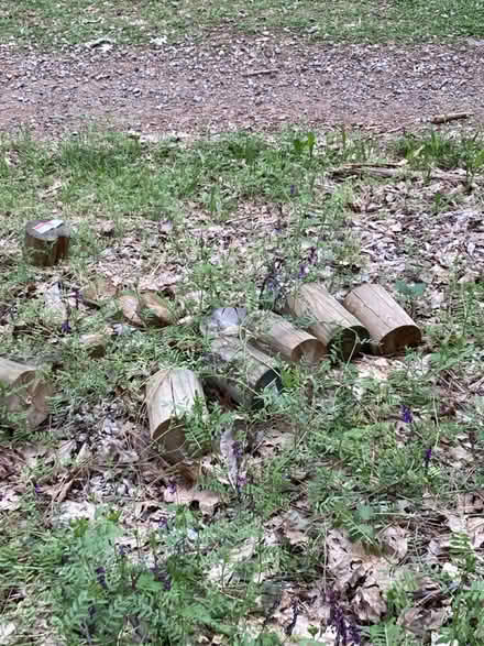 Photo of free Short ends of treated wood poles (Brunswick/Glenwood Basin) #2