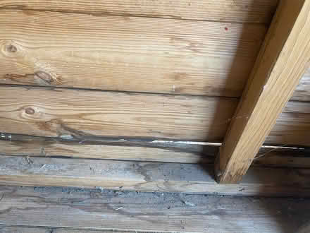 Photo of free Summerhouse (Cheshunt EN7) #3