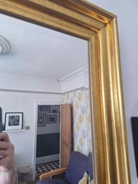 Photo of free Fireplace mirror (Edgedale Road S7) #2