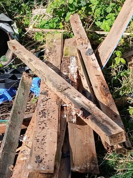 Photo of free wood (Whitehaven CA28) #3